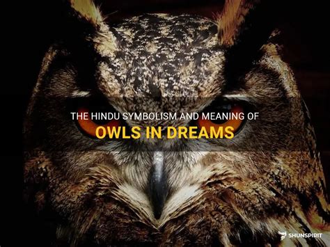 Decoding the Superstitions Surrounding Owl Dreams in Hinduism