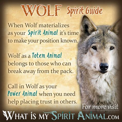 Decoding the Symbolic Language of Water in Wolf Dreams