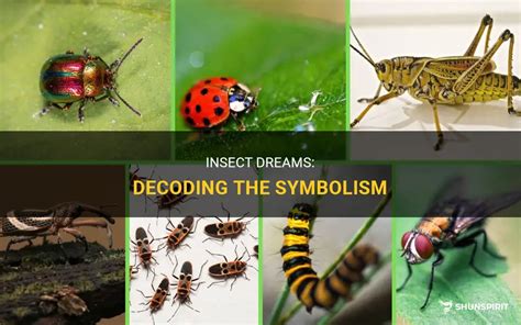 Decoding the Symbolic Meaning of a Crimson Insect in Dreams