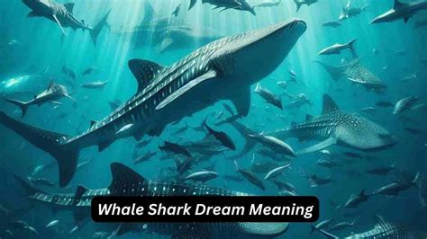 Decoding the Symbolic Messages: Deciphering a Vision of an Ascending Whale in the Firmament