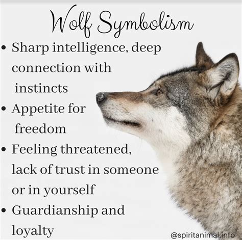 Decoding the Symbolic Messages Concealed in Visionary Wolf Representations