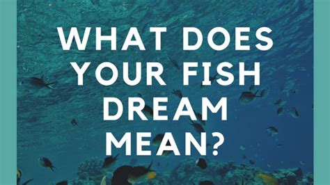 Decoding the Symbolic Presence of Fish in Dream World