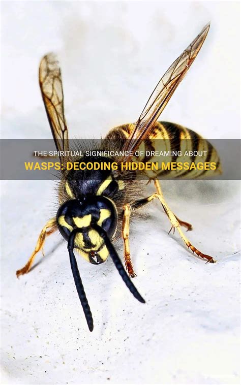 Decoding the Symbolic Significance and Messages of the Wasp Grasped Within the Palm