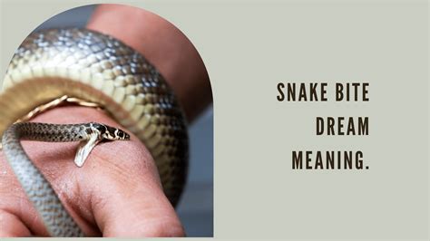 Decoding the Symbolic Significance of Snake Bites in Dreams