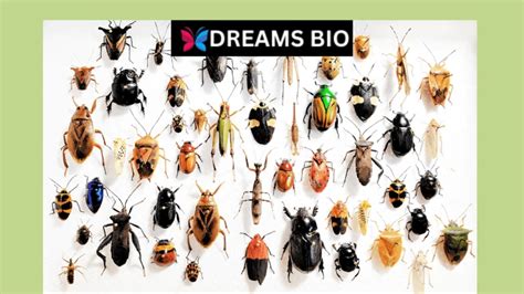 Decoding the Symbolism: Analyzing Your Multiplying Insects Dream