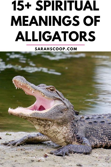 Decoding the Symbolism: Exploring the Meaning of Alligator Dreams