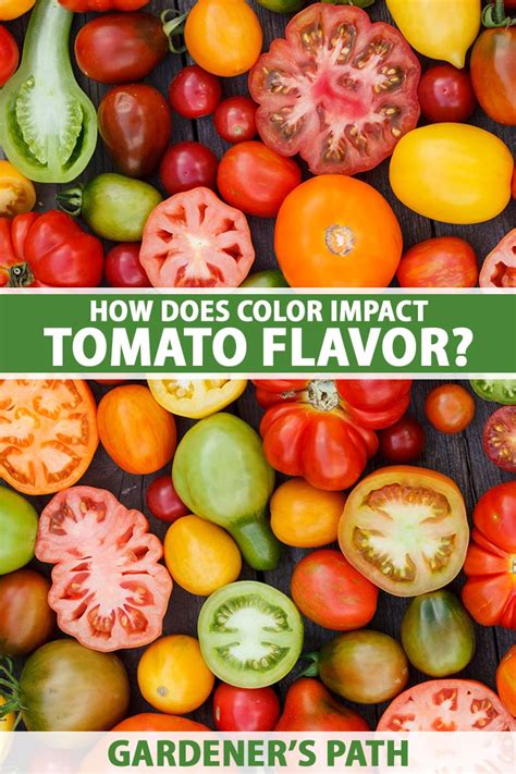 Decoding the Symbolism: Tomatoes and Their Color