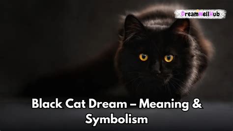 Decoding the Symbolism: Understanding the Significance of Dreaming of a Black Cat