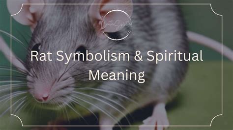 Decoding the Symbolism: What Does a Rat Represent?