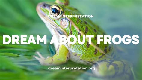 Decoding the Symbolism Behind Frogs in Dreams