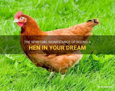 Decoding the Symbolism of Dreaming About an Ailing Hen