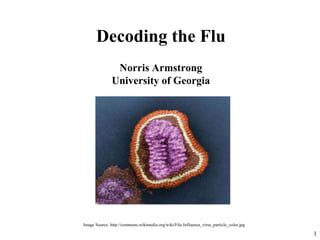 Decoding the Symbolism of Dreaming about the Influenza Virus