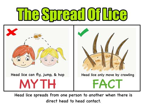 Decoding the Symbolism of Dreaming of Another Person Afflicted by Head Lice