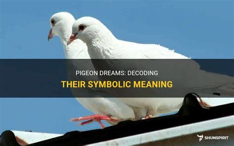 Decoding the Symbolism of Pigeons in Dreams