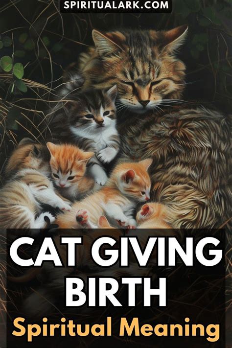 Decoding the Symbolism of a Male Feline Birth