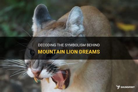 Decoding the Symbolism of a Mountain Lion in Your Home