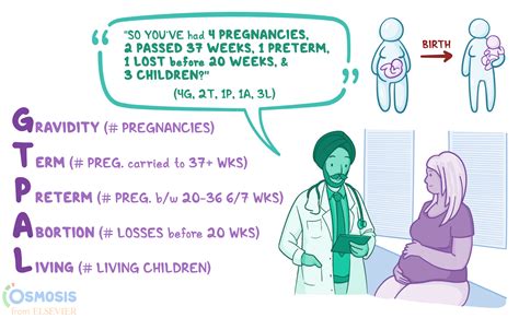 Decoding the Symbols: Understanding the Significance of a Confirmatory Maternity Examination