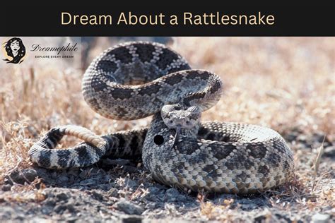 Decoding the Warning Messages in Serpent Constricting Dreams