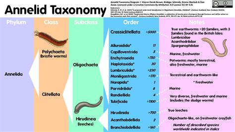 Decoding the language of arboreal annelids