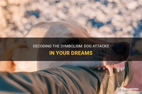 Decoding the significance of a pale canine attack in dreams