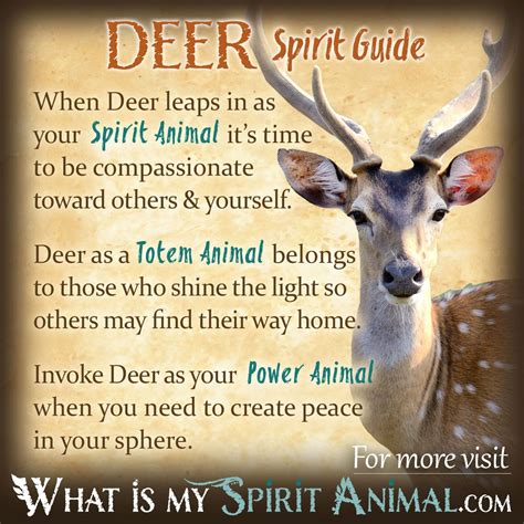 Deer as Spirit Animals and Totems