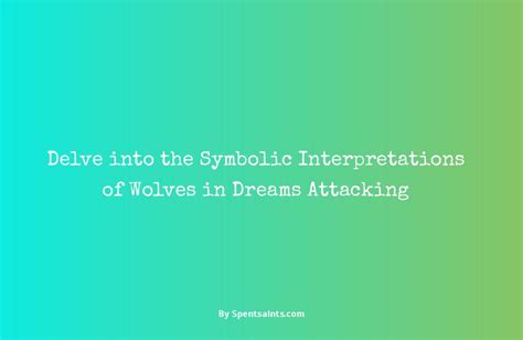 Delving into the Symbolic Interpretations