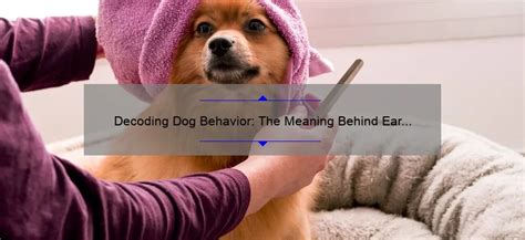 Demystifying Symbolism: Decoding the Significance of Walking a Canine Companion in a Vision