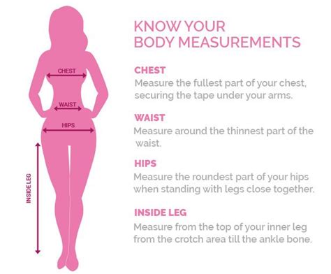 Description of Aria S's Body Shape and Measurements