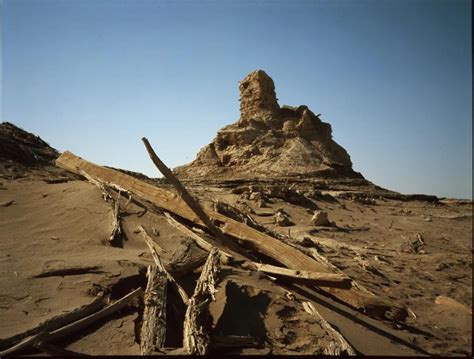 Desert Oasis or Forgotten Civilization? The Significance of Loulan in Silk Road Trade