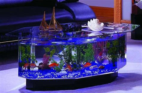 Designing an Intimate Haven: Crafting Your Unique Personal Aquarium