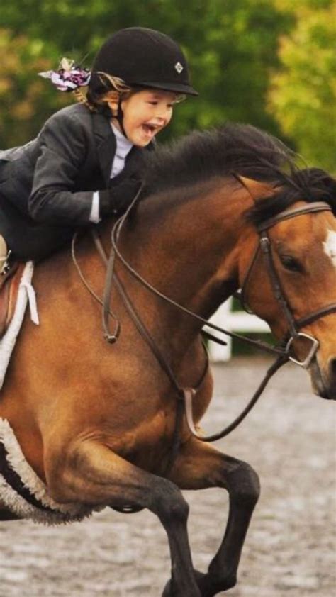 Designing the Perfect Pony: Fulfilling the Fantasies of Equine Enthusiasts