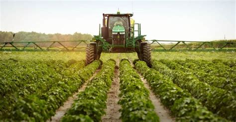 Developing Effective Weed Control Strategies