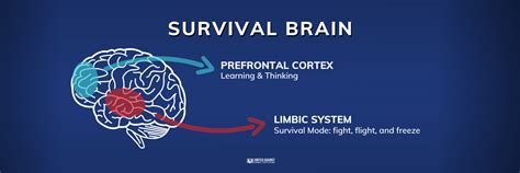 Developing Your Survival Instincts: How to Train Your Brain