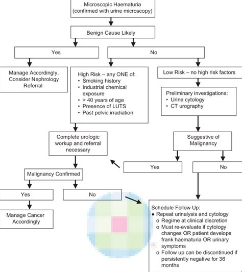 Diagnostic Approaches and Available Treatments: What to Anticipate