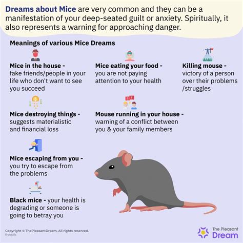 Different Categories of Mice Dream States