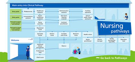 Different Paths on the Journey to a Hospital Career