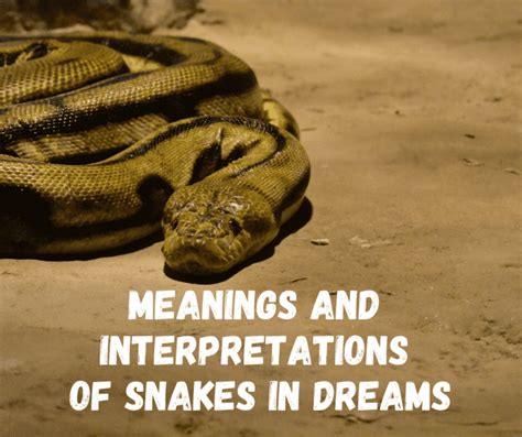 Different Types of Dreams Showing Snakes Departing