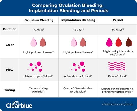 Different Types of Dreams about Blood in Pregnancy and Their Interpretations