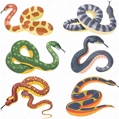 Different Varieties of Serpents and Their Meanings in One's Dreams