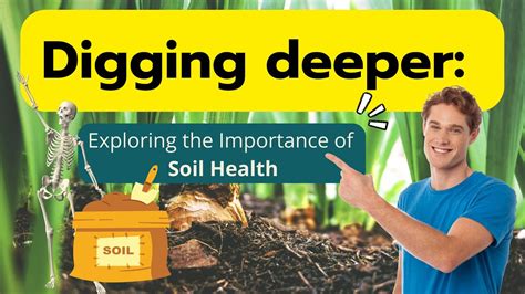 Digging Deeper: The Importance of Dreaming about Harvesting Soil