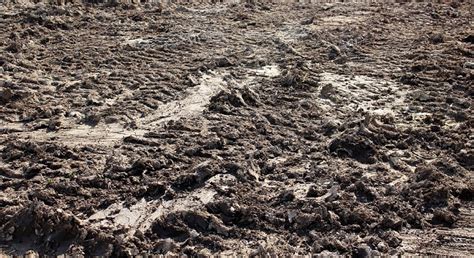 Digging Deeper: Tips for Interpreting and Analyzing Dreams Involving Mud Soil