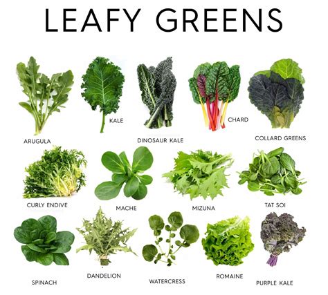 Dining on Verdant Leafy Greens: What Does It Signify?