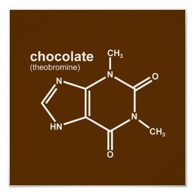 Discover Your Exceptional Chocolate Formula