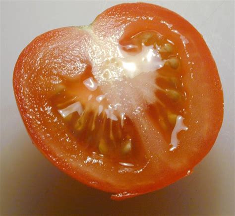 Discover the Aromatic Universe of Succulent Tomatoes