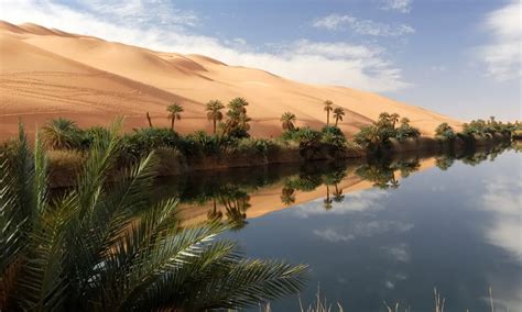 Discover the Breathtaking Natural Beauty Surrounding Enchanted Oasis