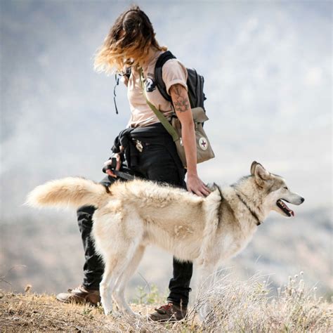 Discover the Connection with Nature Through Wolf Therapy