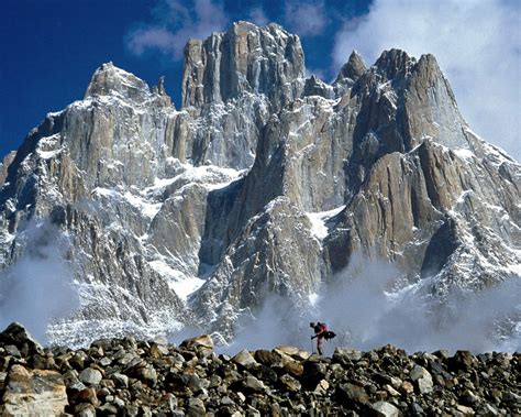 Discover the Diverse Wonders of Mountain Ecosystems