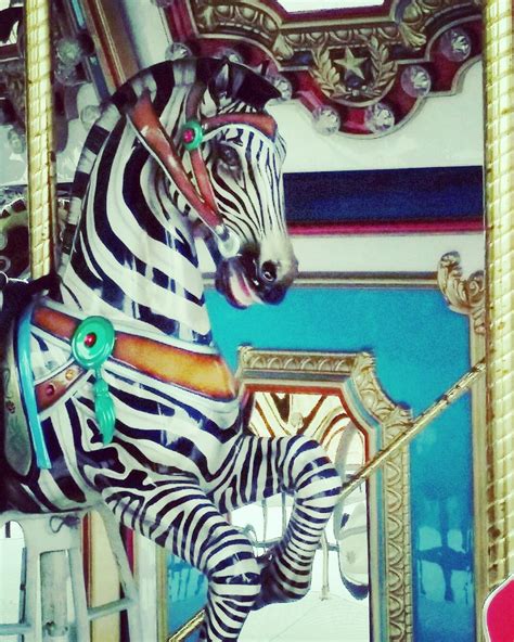 Discover the Enchantment of Zebra-Riding Fantasies