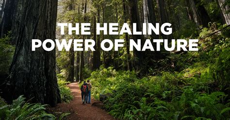 Discover the Healing Power of Nature Therapy