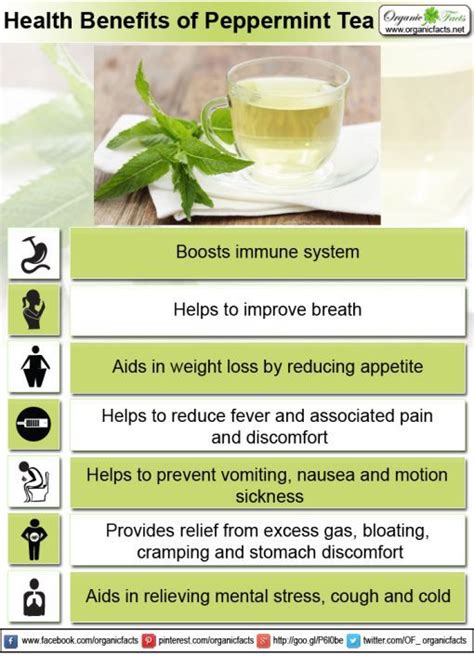 Discover the Health Benefits of Refreshing Mint Treats